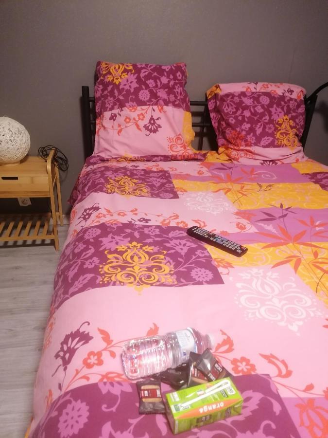 Chambres Dans Maison Familiale Сен-Жирон Экстерьер фото